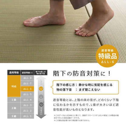 Lightweight Tatami Mats Sasai Blue 9-Piece Set