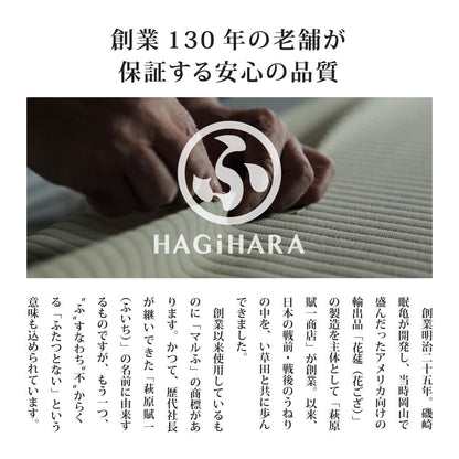Igusa Carpet Yanagawa Edo Room 8 Tatami