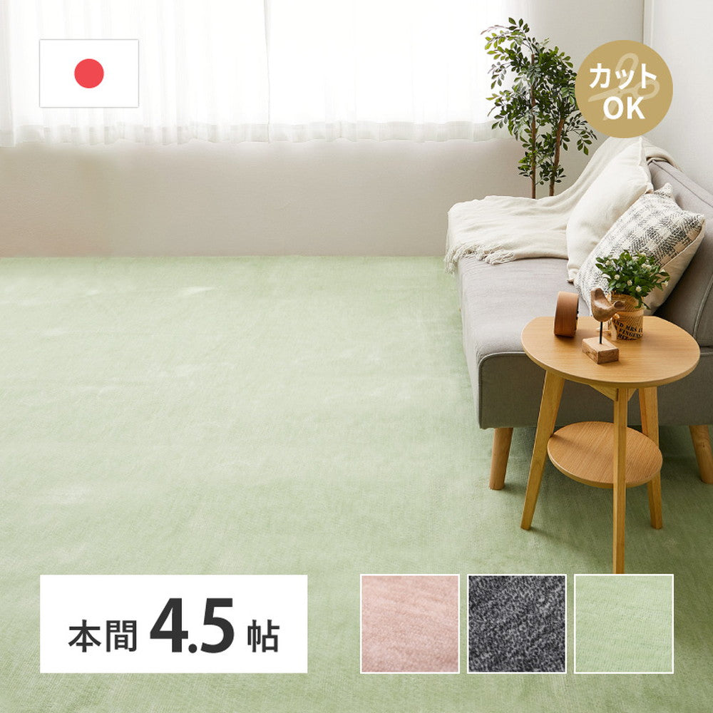 Pet-Friendly Flat Woven Carpet Raum 286x286cm Black