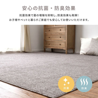 Flame Retardant Woven Carpet, Moen, Edo Room 6 Tatami, Beige