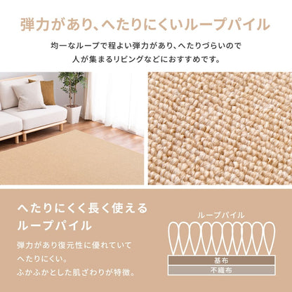 Flame Retardant Woven Carpet, Moen, Edo Room 6 Tatami, Gray