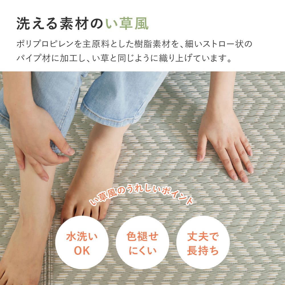 Washable Igusa-style Carpet Pasurash Edo-style 10 Tatami Purple