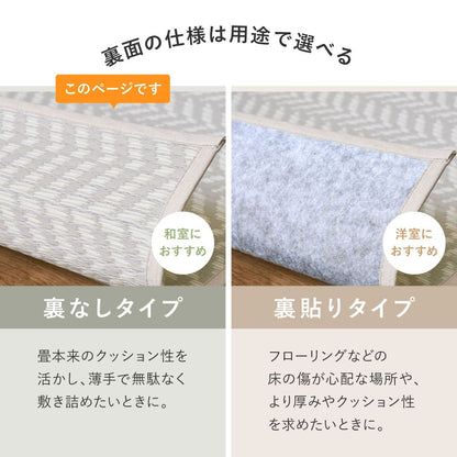 Washable Igusa-style Carpet Pasurash Edo-style 10 Tatami Purple