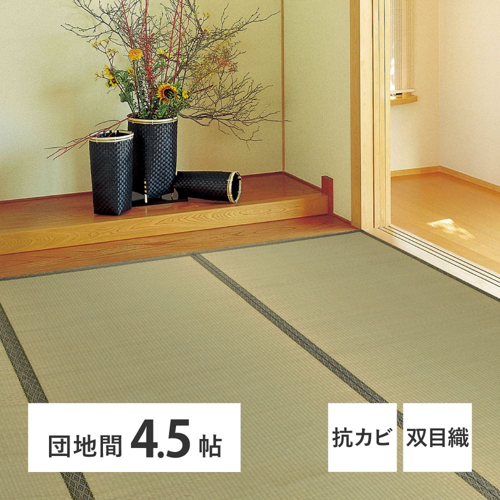 Igusa Carpet Yanagawa Apartment 4.5 Tatami