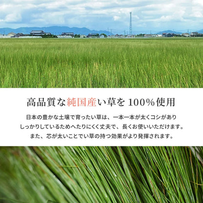 Domestic Igusa Carpet Seiryo Honma 8-tatami Blue