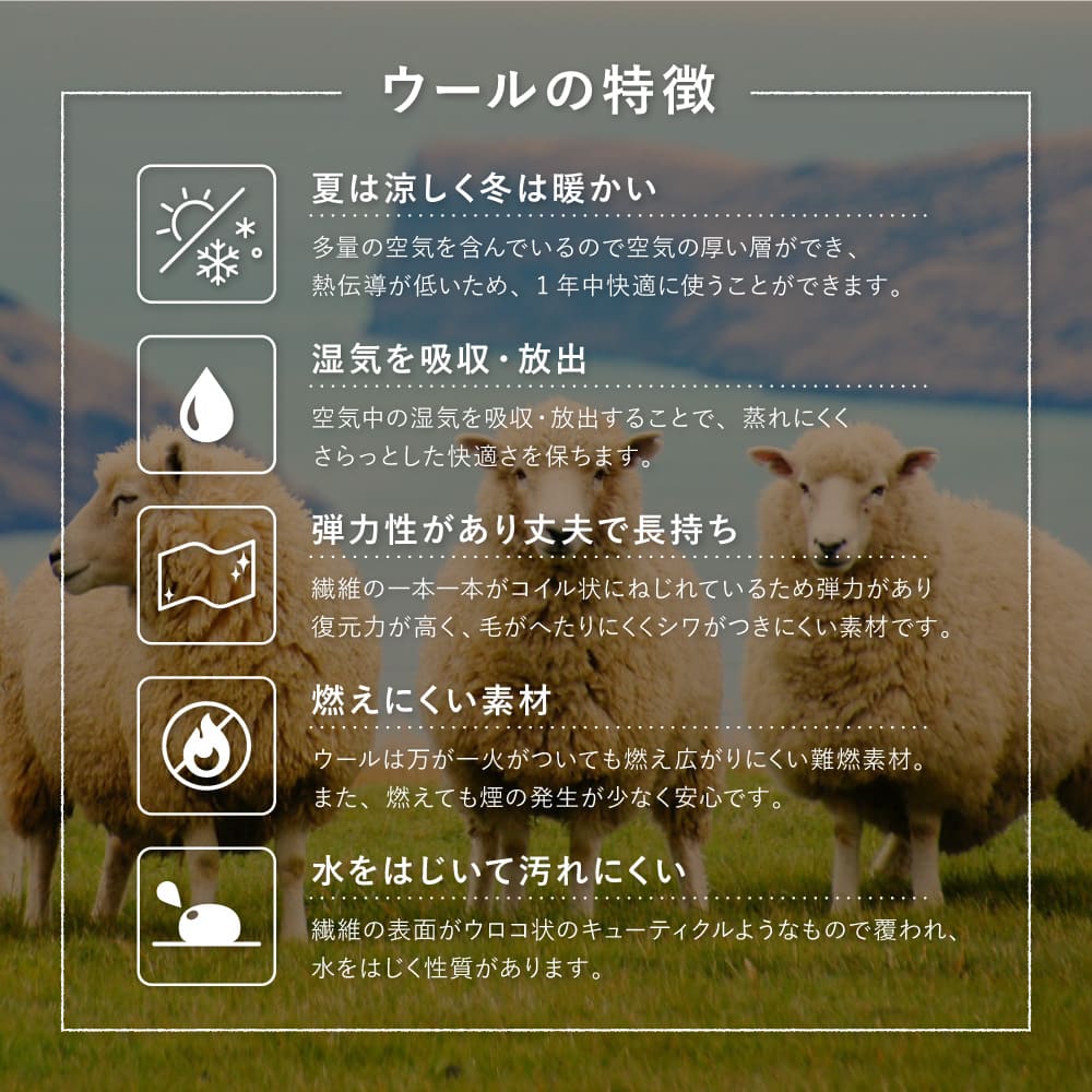 GABBEH D21 60X90
