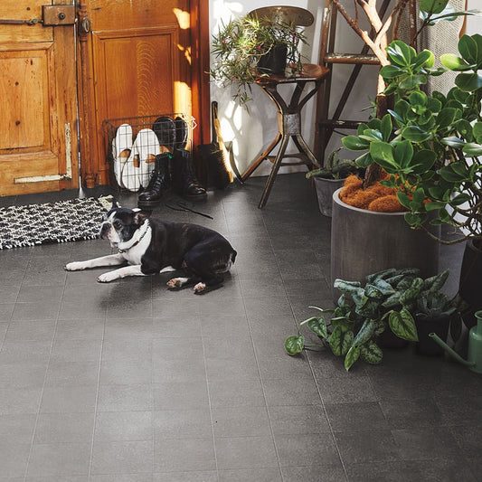 Pet-Friendly Cushion Floor Cray Block 90x300