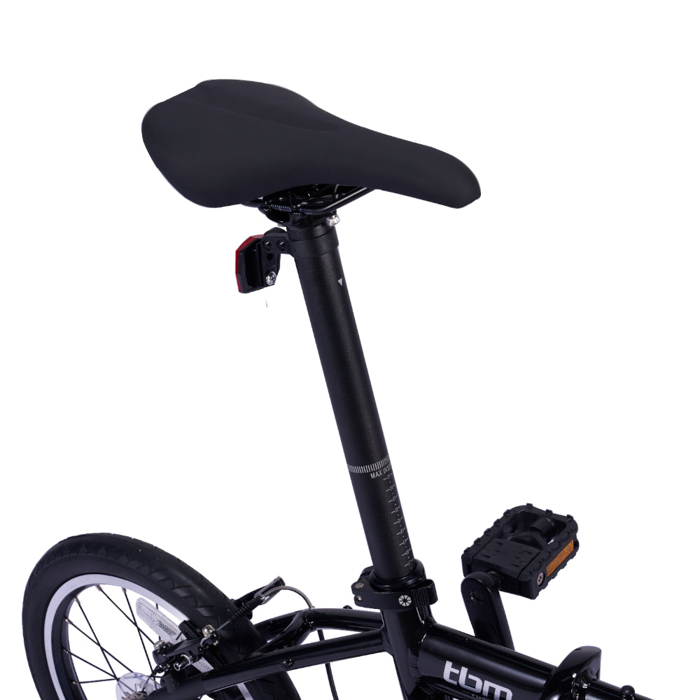 DAHON int. TBM Rugged 16-Inch Matte Black