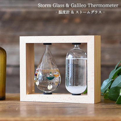Thermometer & Storm Glass 333-272