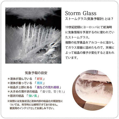 Thermometer & Storm Glass 333-272