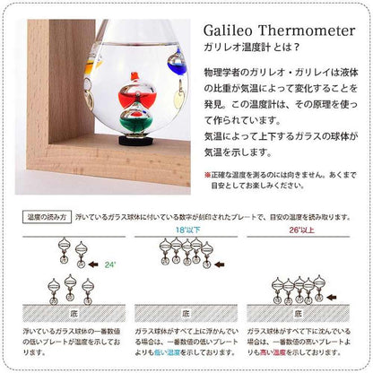 Thermometer & Storm Glass 333-272