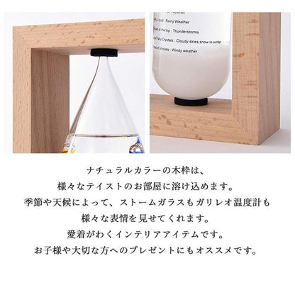 Thermometer & Storm Glass 333-272