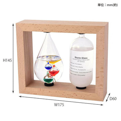 Thermometer & Storm Glass 333-272