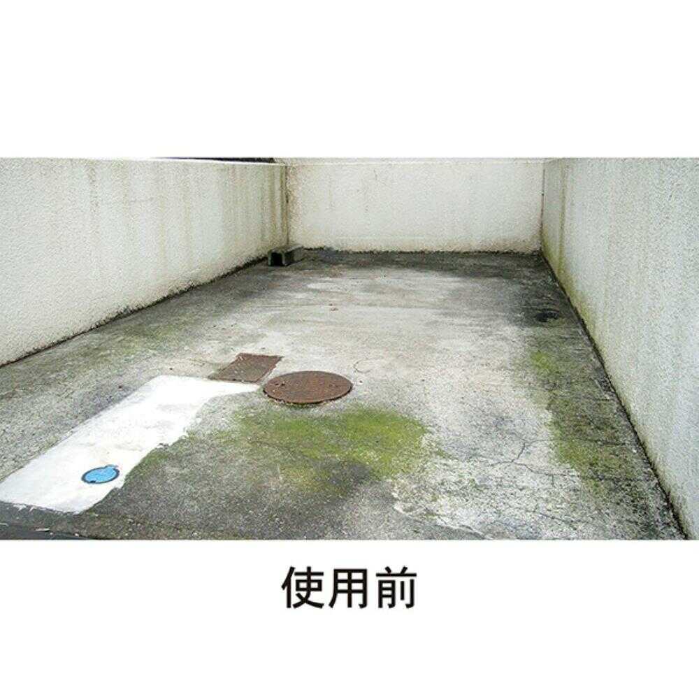 Toyaku Moss and Mold Remover 420ml