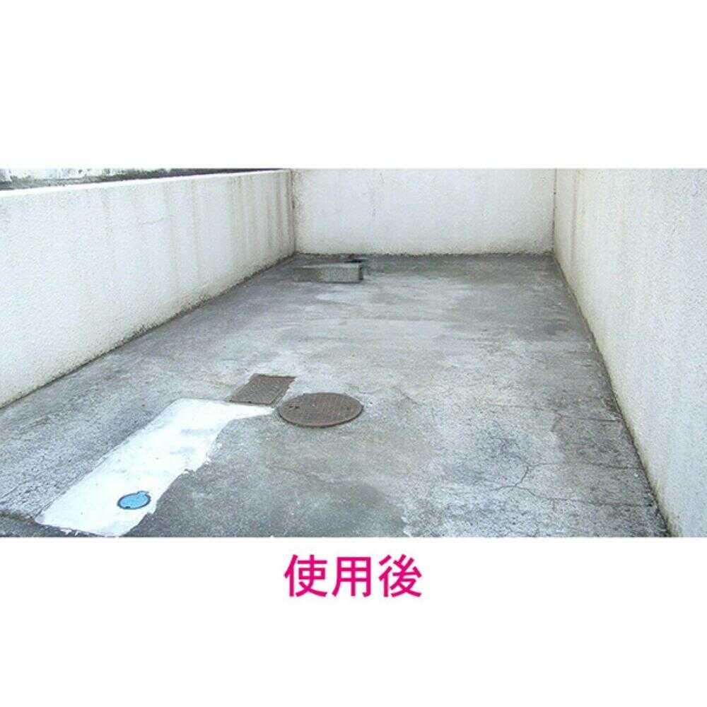 Toyaku Moss and Mold Remover 420ml