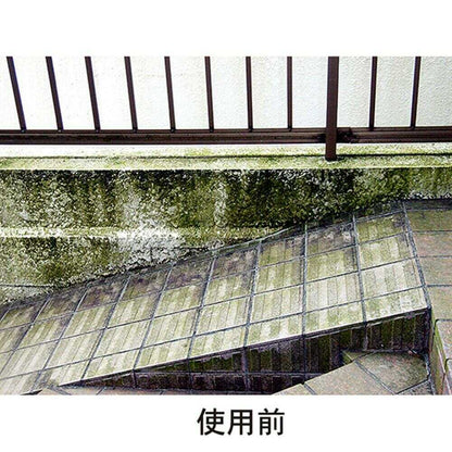 Toyaku Moss and Mold Remover 420ml