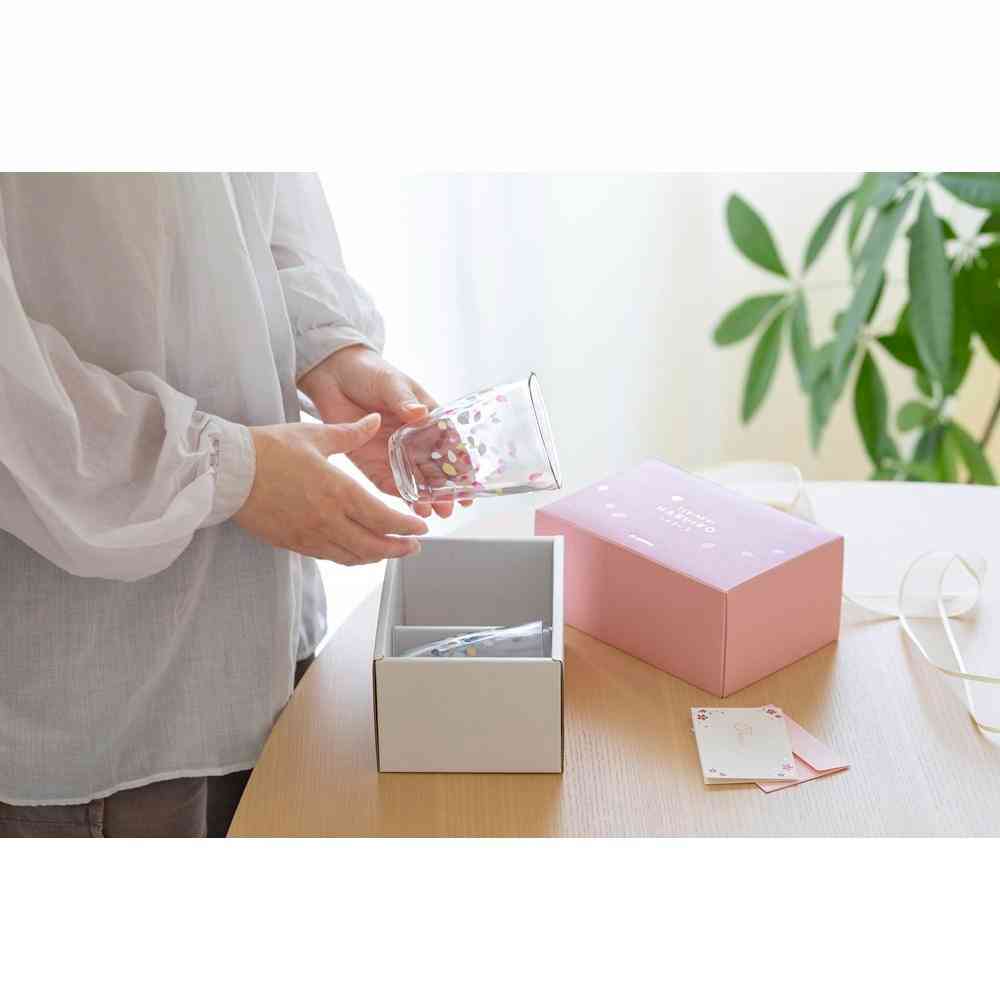 Adelia TEBINERI HARUIRO Tumbler Pair Set 290ml×2