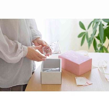 Adelia TEBINERI HARUIRO Tumbler Pair Set 290ml×2