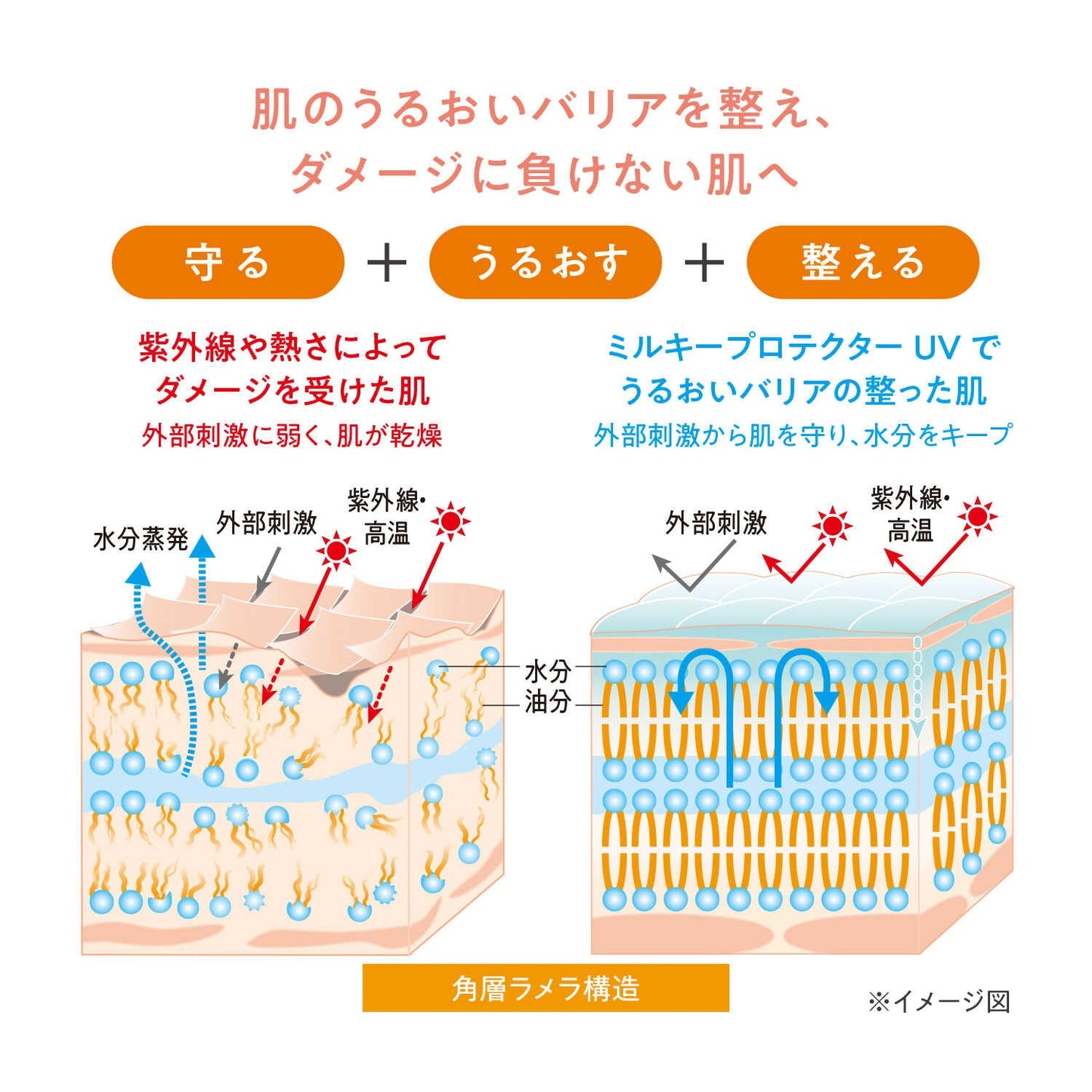 Shiseido Avene Milky Protector UV 40ml