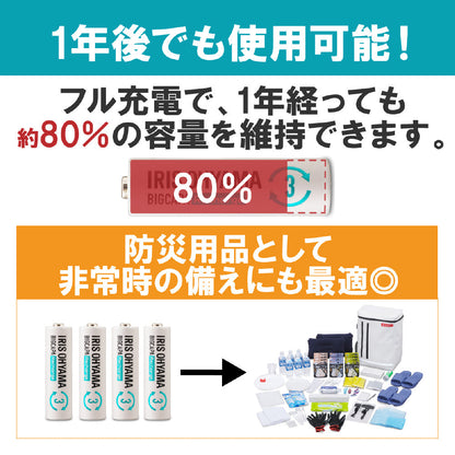 Iris Ohyama Big Capacity Rechargeable Fast Charger Set with 4 AA Batteries -BCR-SQC3MH/4S