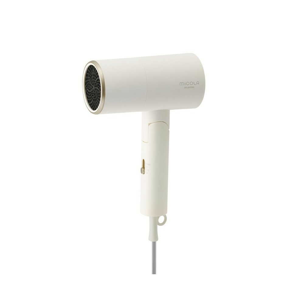 Iris Ohyama Ion Dryer HDR-M201-W