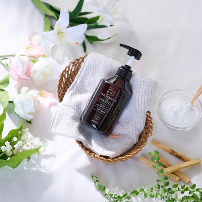 Iris Ohyama Treatment-in Shampoo Botanical Soap Scent P-TS400