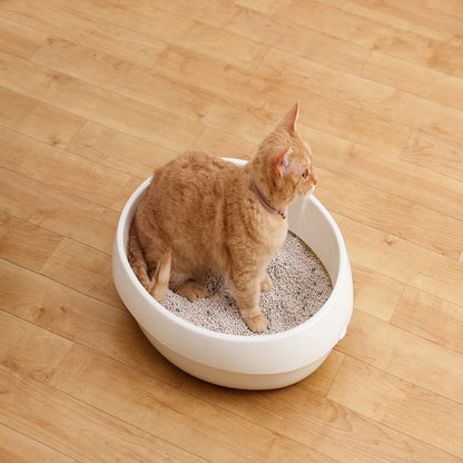 Iris Ohyama Clean Sand Humming Citrus Scent 5L