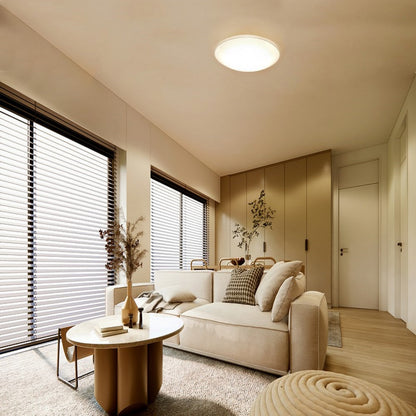 Iris Ohyama LED Ceiling Light 12 Tatami Color Adjustable Clear Frame
