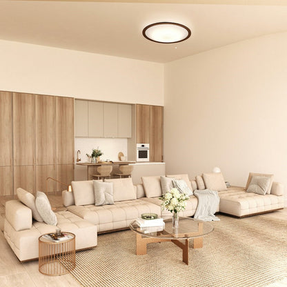 Iris Ohyama LED Ceiling Light 12 Tatami Color Adjustable Wood Frame