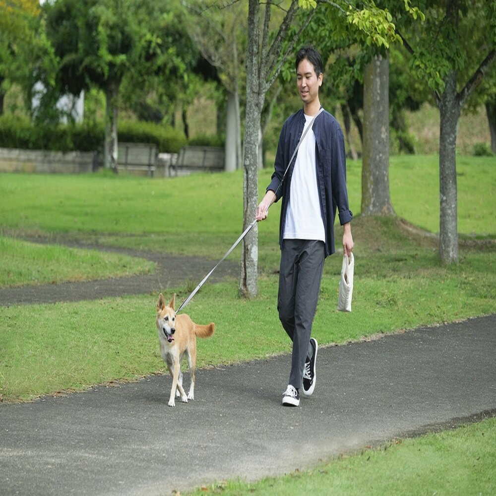 Iris Ohyama RM Adjustable Length Lead Gray