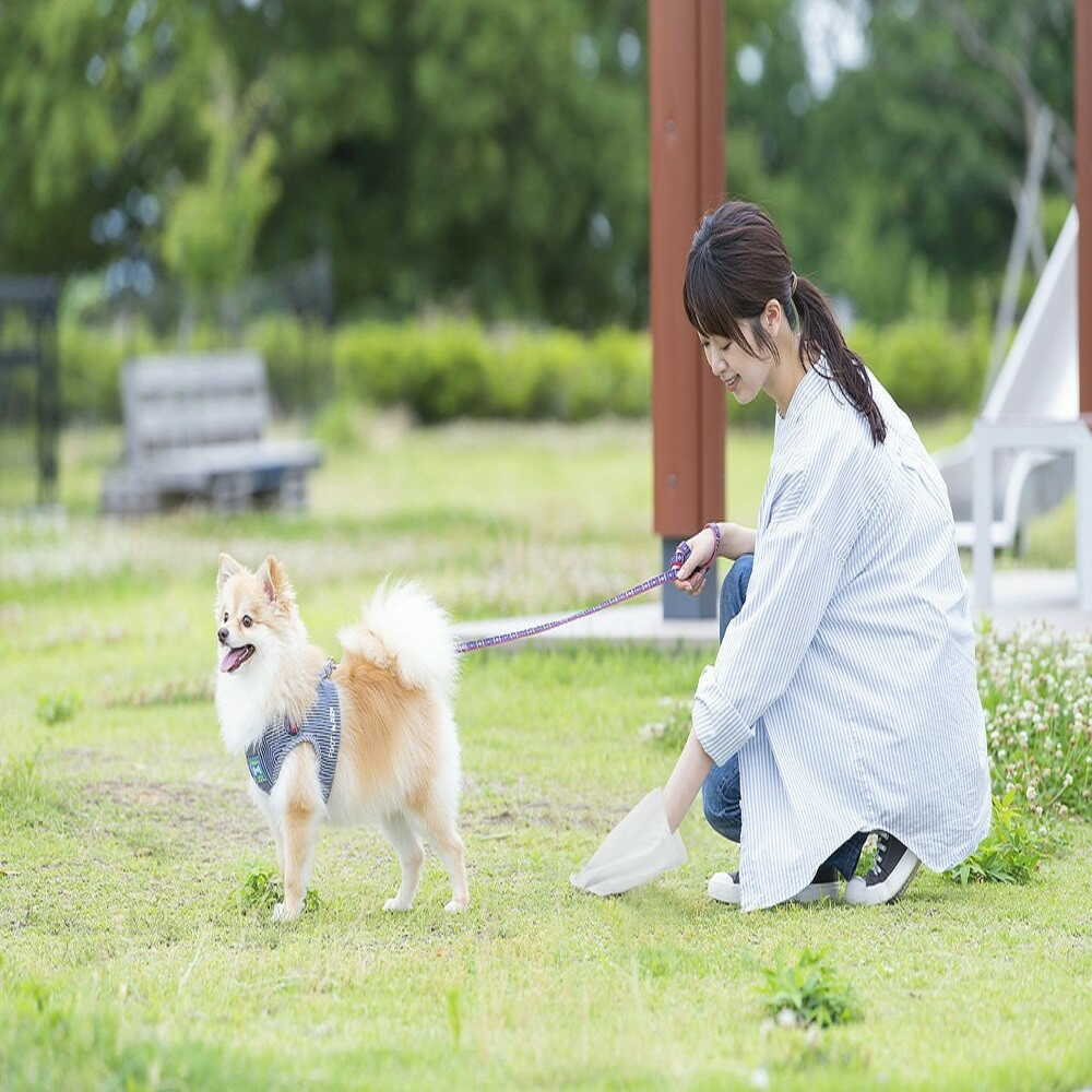 Iris Ohyama Pet Odor Control Bags SS Size 200 pcs