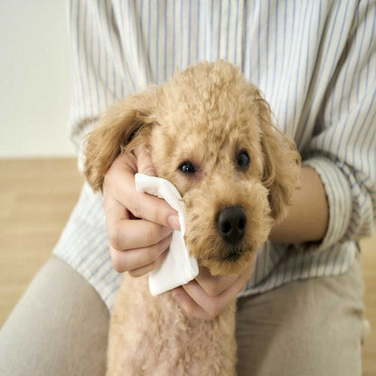 Iris Ohyama Pet Flushable Wet Wipes 72 Sheets x 2 Pack