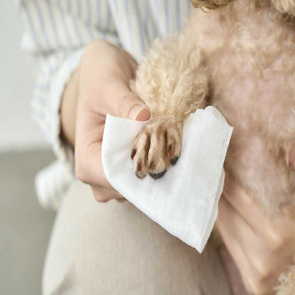 Iris Ohyama Pet Flushable Wet Wipes 72 Sheets x 2 Pack