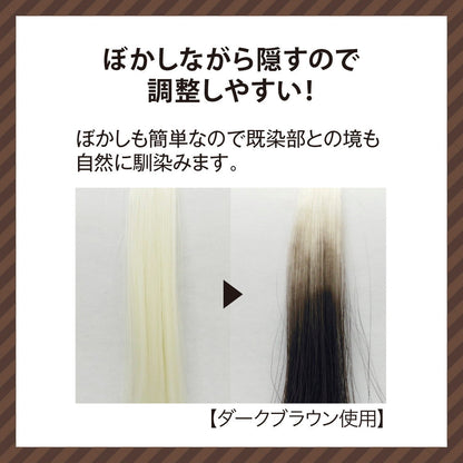 Amoros Darling Color Powder Dark Brown 5g