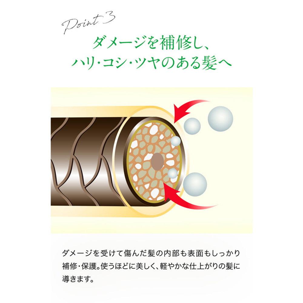 Oshima Tsubaki Excellent Shampoo 300ml