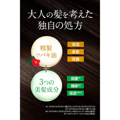 Oshima Tsubaki Excellent Treatment 200g