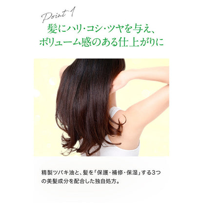 Oshima Tsubaki Excellent Treatment 200g