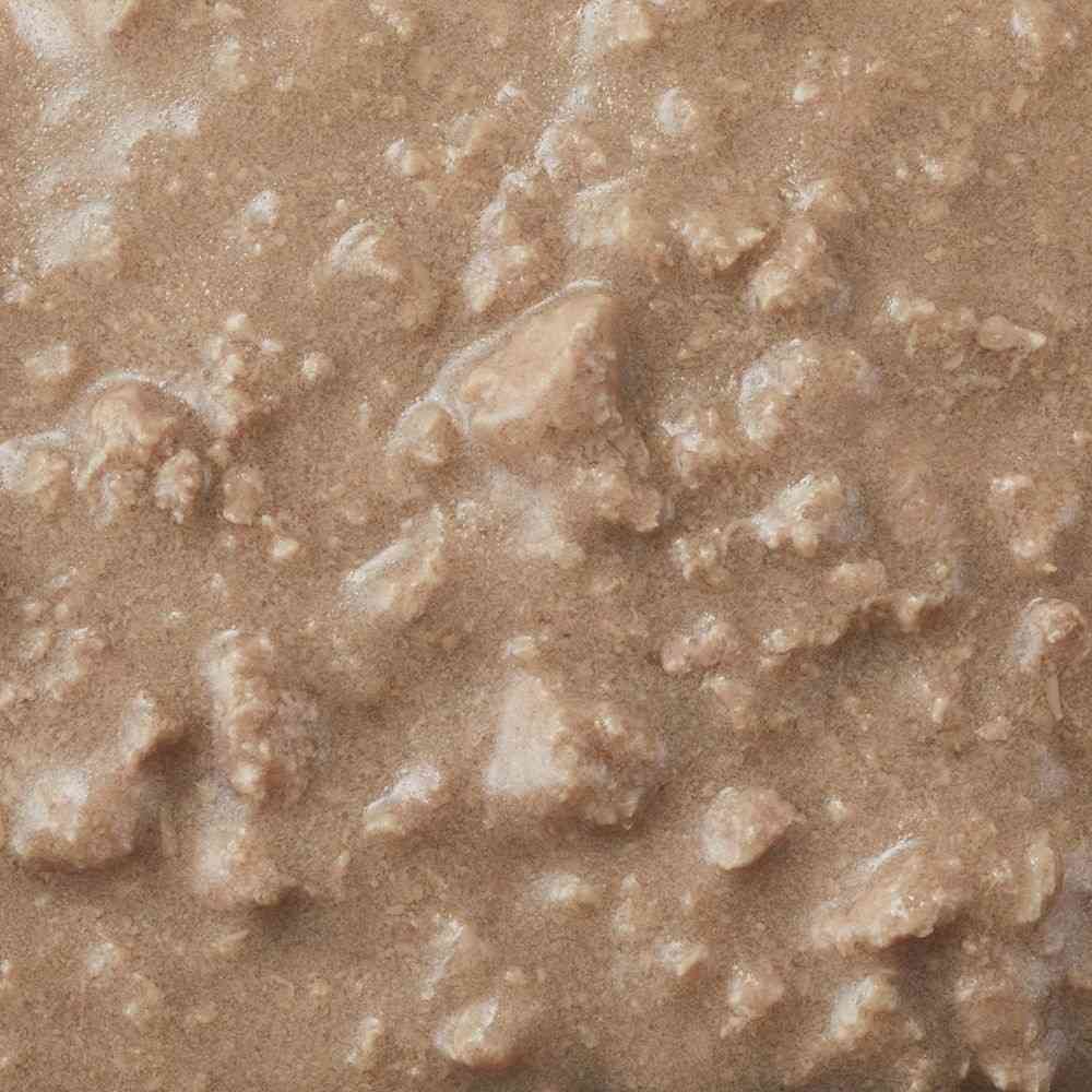 Debut Pet Kaliyudo Senior Cat Beef 95g