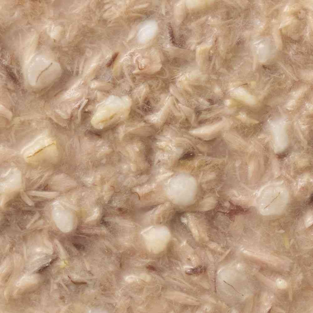Debut Pet Flaky Tuna with Six Grains 60g