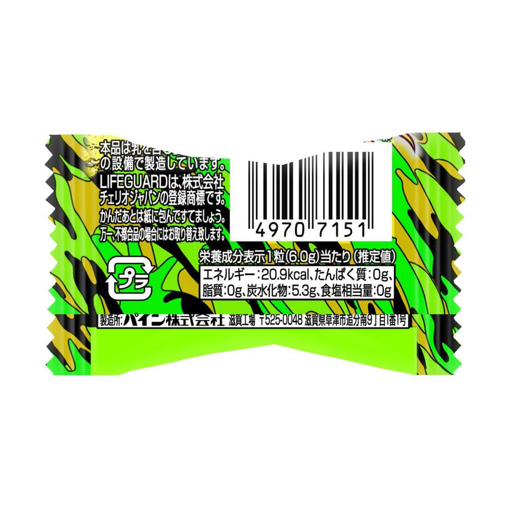 Pine Donguri Gum Lifeguard 1 Piece