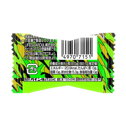 Pine Donguri Gum Lifeguard 1 Piece