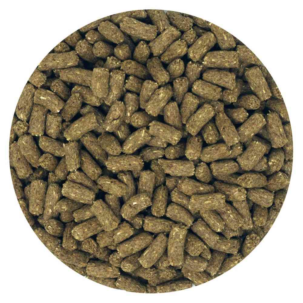 Easter Animal Village Rabbit Senior 2.2kg