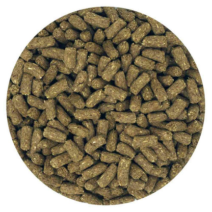 Easter Animal Village Rabbit Senior 2.2kg