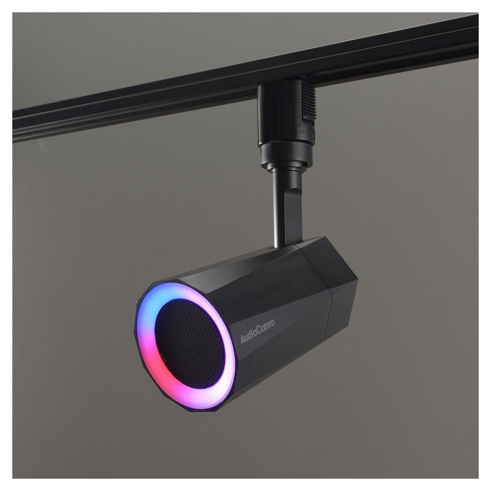 Ohm Electric Rail Speaker