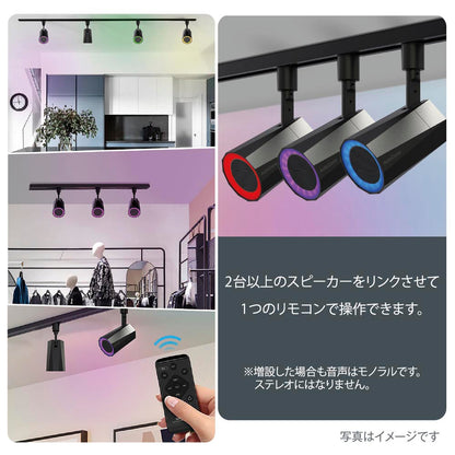 Ohm Electric Rail Speaker