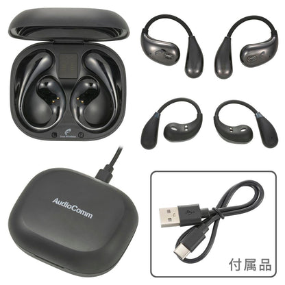 Ohm Electric Completely Wireless Earphones with Ear Hooks