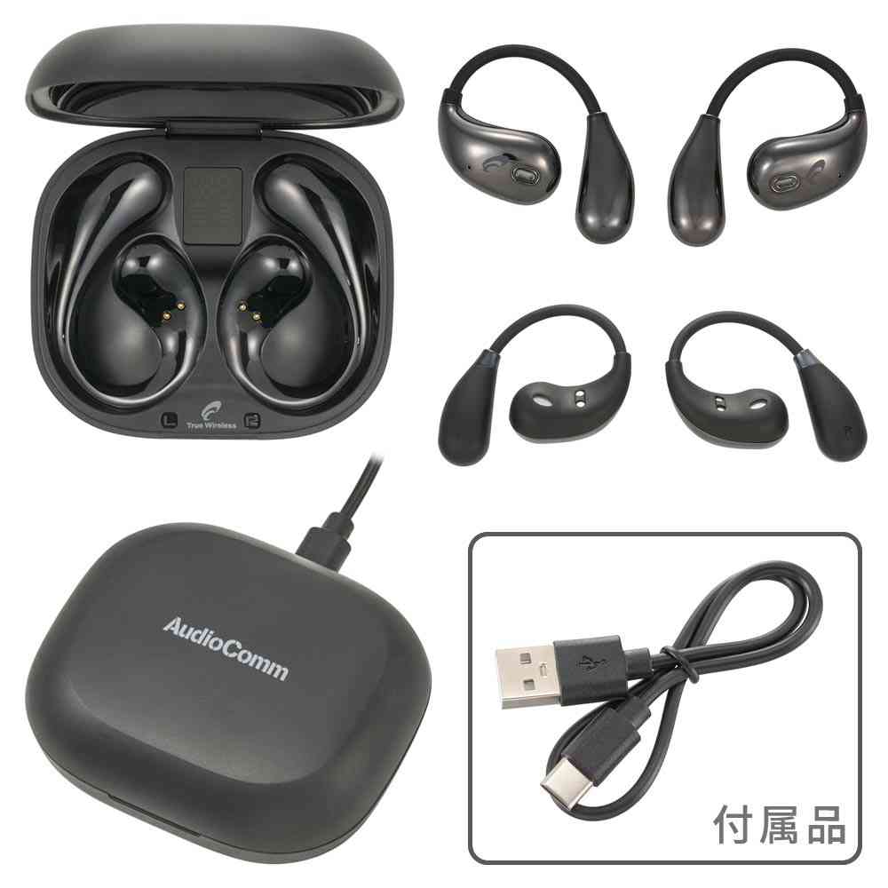Ohm Electric Completely Wireless Earphones with Ear Hooks