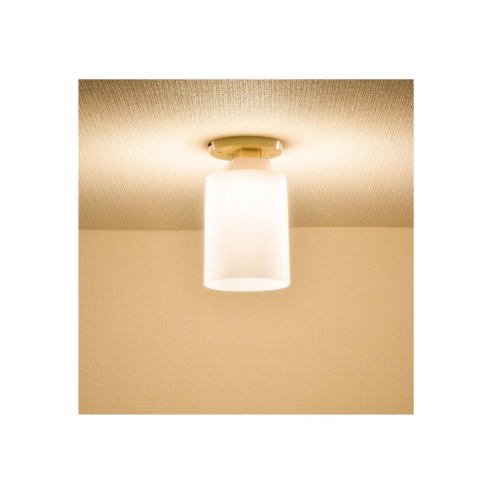 Ohm Electric LED Mini Ceiling Light Warm White