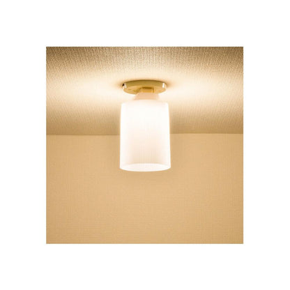 Ohm Electric LED Mini Ceiling Light Warm White
