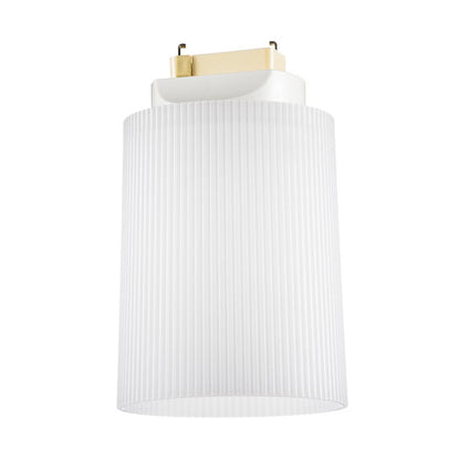 Ohm Electric LED Mini Ceiling Light Daylight White